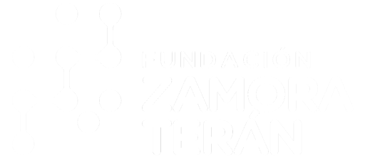 Logo FZT